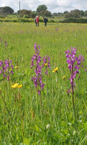 Reg. SARDEGNA Prov. Oristano 24-04-2014