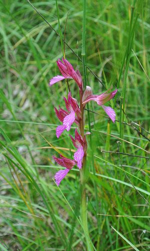 Reg. VENETO Prov. Treviso 14-05-2016