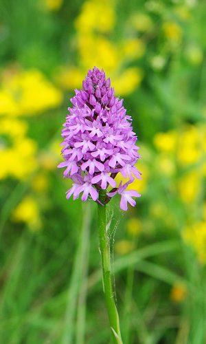 Reg. ABRUZZO Prov. Chieti 02-06-2016