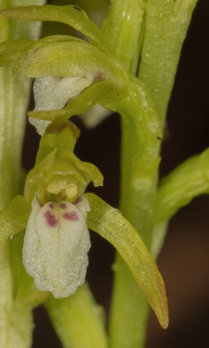 Reg. UMBRIA Prov. Terni 11-06-2016