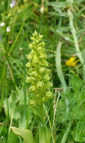 Reg. BASILICATA Prov. Potenza 20-05-2012