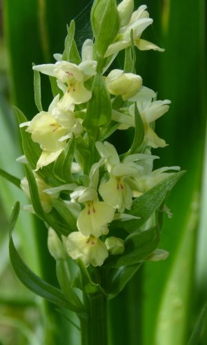 Reg SARDEGNA Prov. Nuoro 24-04-2014