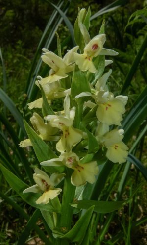 Reg SARDEGNA Prov. Nuoro 24-04-2014