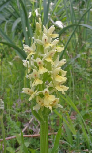 Reg SARDEGNA Prov. Nuoro 24-04-2014