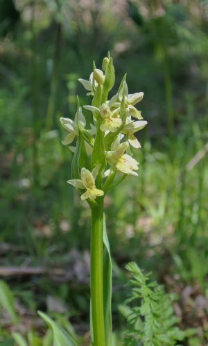Reg SARDEGNA Prov. Nuoro 24-04-2014