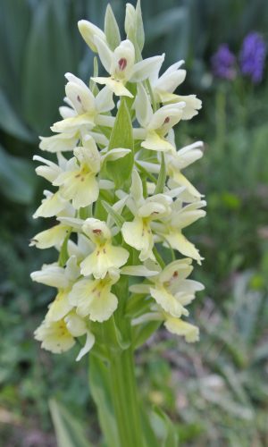 Reg SARDEGNA Prov. Nuoro 24-04-2014