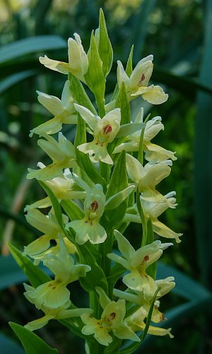 Reg SARDEGNA Prov. Nuoro 24-04-2014