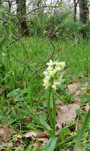 Reg. SICILIA Prov. Catania 06-04-2016