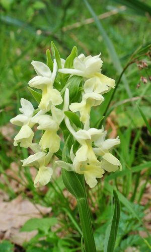 Reg. SICILIA Prov. Catania 06-04-2016