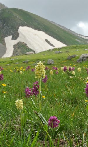 Reg. ABRUZZO Prov. L'Aquila 29-05-2018
