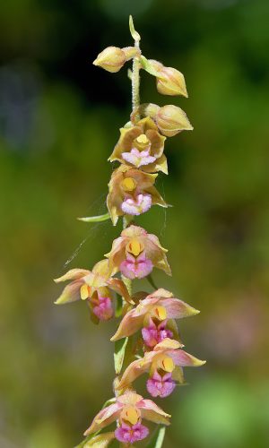 Reg. LOMBARDIA Prov. Sondrio 20-07-2023