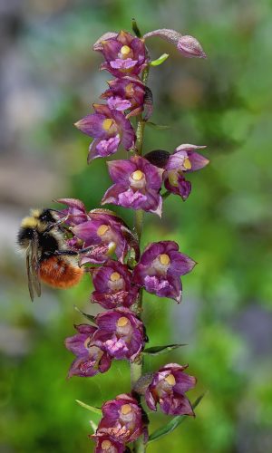 Reg. LOMBARDIA Prov. Sondrio 20-07-2023