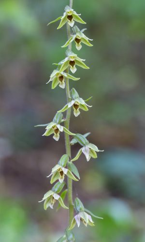 Reg. VENETO Prov. Verona 19-08-2023