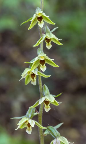 Reg. VENETO Prov. Verona 19-08-2023