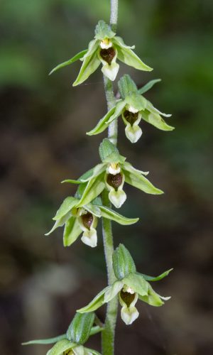 Reg. VENETO Prov. Verona 19-08-2023