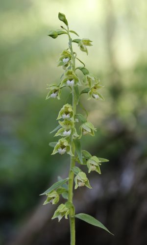 Reg. VENETO Prov. Verona 13-06-2024