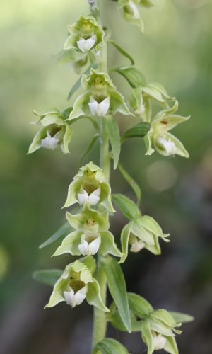 Reg. VENETO Prov. Verona 13-06-2024