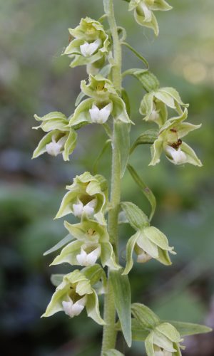 Reg. VENETO Prov. Verona 13-06-2024