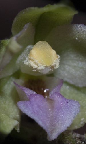 Reg. BASILICATA Prov. Potenza 25-07-2016