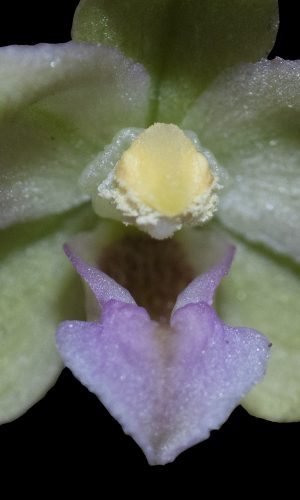 Reg. BASILICATA Prov. Potenza 25-07-2016