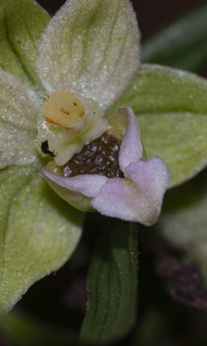 Reg. BASILICATA Prov. Potenza 01-08-2016