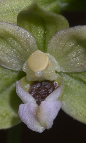 Reg. BASILICATA Prov. Potenza 01-08-2016