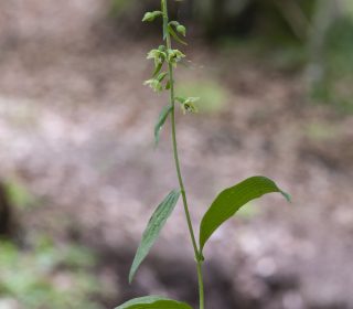 Reg. BASILICATA Prov. Potenza 02-08-2016