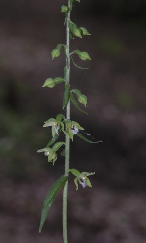 Reg. BASILICATA Prov. Potenza 02-08-2016