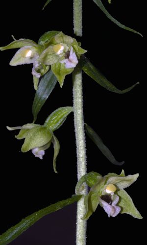 Reg. BASILICATA Prov. Potenza 02-08-2016