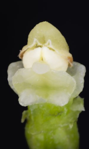 Reg. BASILICATA Prov. Potenza 24-07-2021