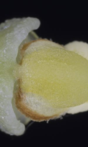 Reg. BASILICATA Prov. Potenza 24-07-2021