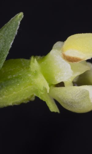 Reg. BASILICATA Prov. Potenza 24-07-2021