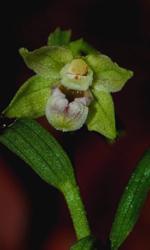 Reg. VENETO Prov. Treviso 31-07-2008