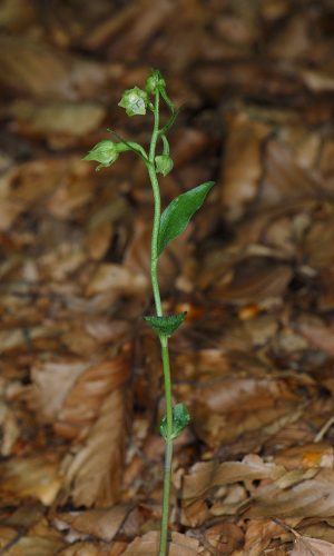 Reg. VENETO Prov. Treviso 07-08-2020
