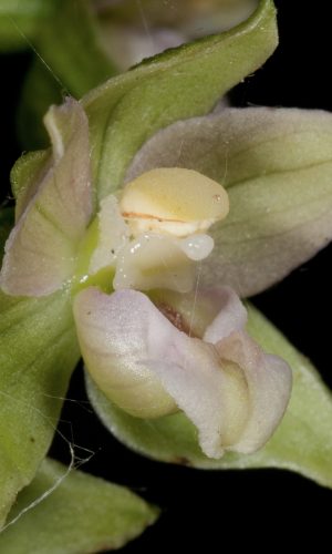 Reg. MARCHE Prov. Pesaro e Urbino 26-07-2010