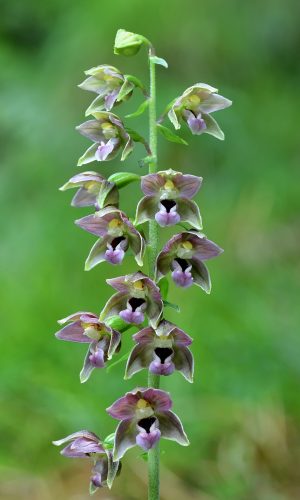 Reg. LOMBARDIA Prov. Brescia 02-08-2023