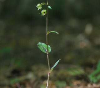 Reg. BASILICATA Prov. Potenza 06-08-2013