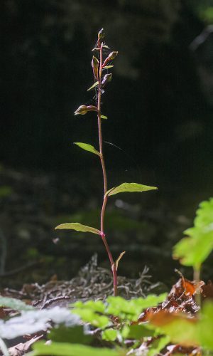 Reg. BASILICATA Prov. Potenza 06-08-2013