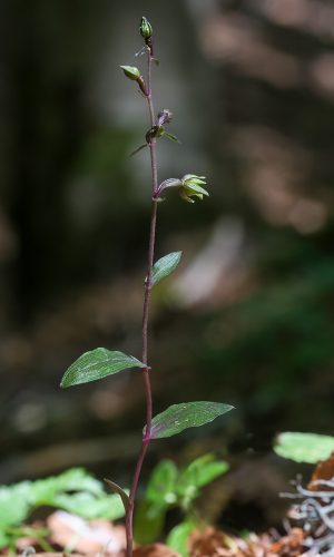 Reg. BASILICATA Prov. Potenza 06-08-2013