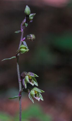 Reg. BASILICATA Prov. Potenza 06-08-2013