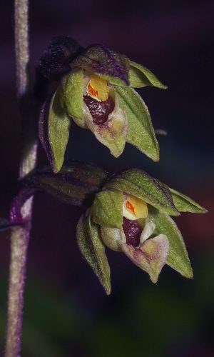 Reg. BASILICATA Prov. Potenza 06-08-2013