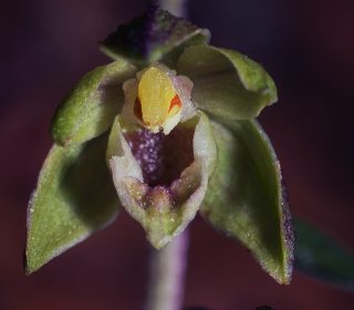 Reg. BASILICATA Prov. Potenza 06-08-2013