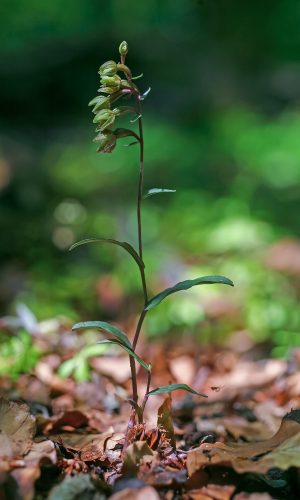 Reg. BASILICATA Prov. Potenza 05-08-2018
