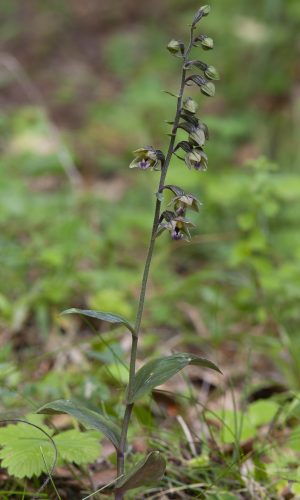 Reg. BASILICATA Prov. Potenza 23-07-2013