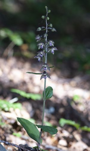 Reg. BASILICATA Prov. Potenza 09-08-2014
