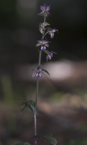 Reg. BASILICATA Prov. Potenza 30-08-2020