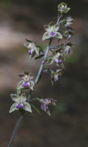 Reg. BASILICATA Prov. Potenza 30-08-2020