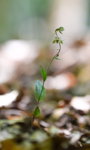 Reg. CALABRIA Prov. Reggio Calabria 25-07-2021