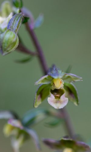 Reg. CALABRIA Prov. Reggio Calabria 29-07-2023