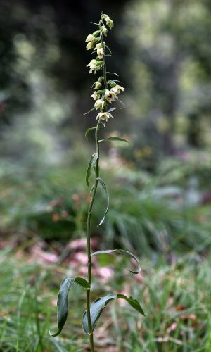 Reg. LOMBARDIA Prov. Brescia 27-07-2023